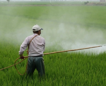 杀虫剂行业中的氮气使用